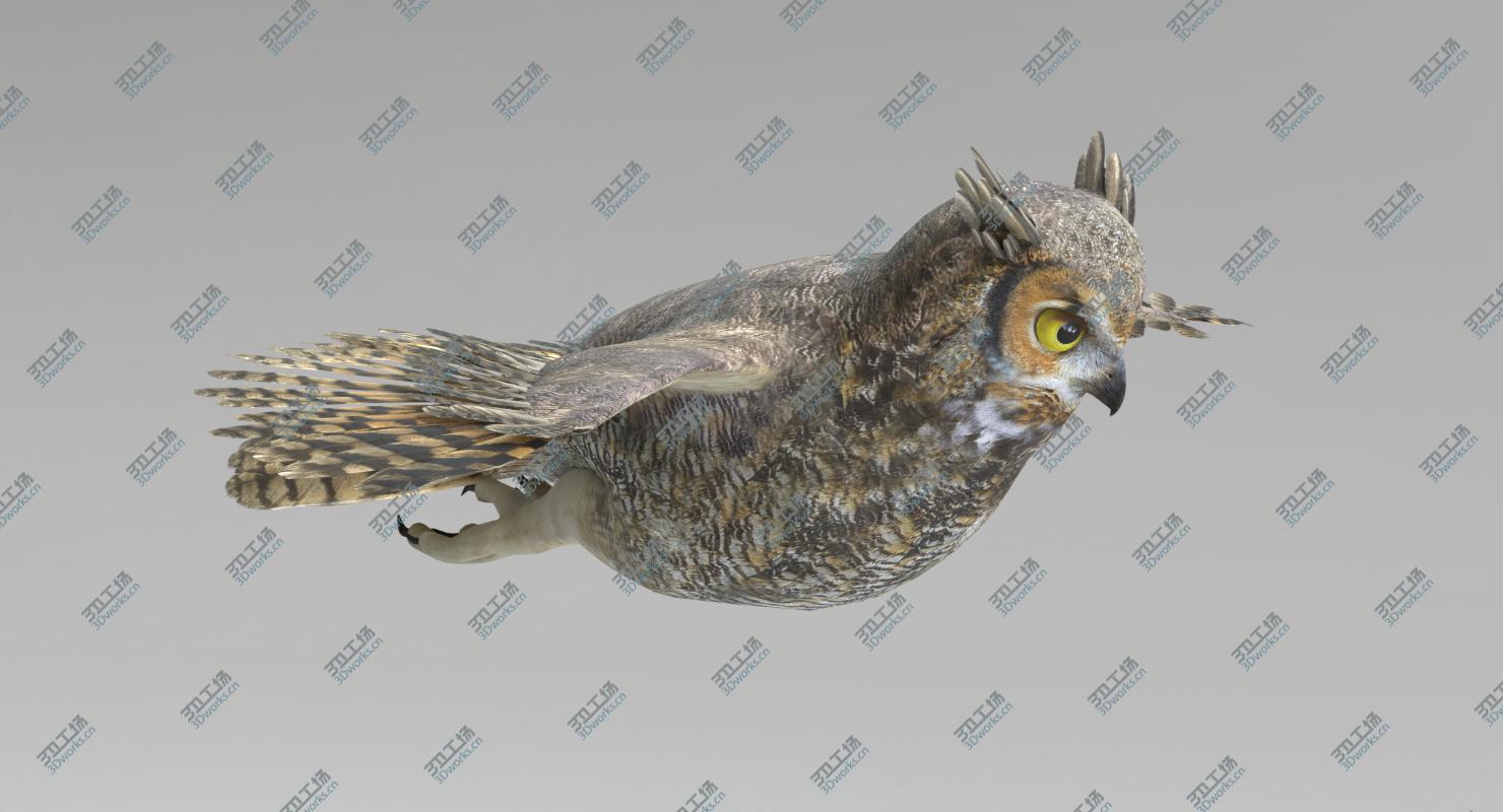 images/goods_img/20210319/3D Animated Birds Set/5.jpg